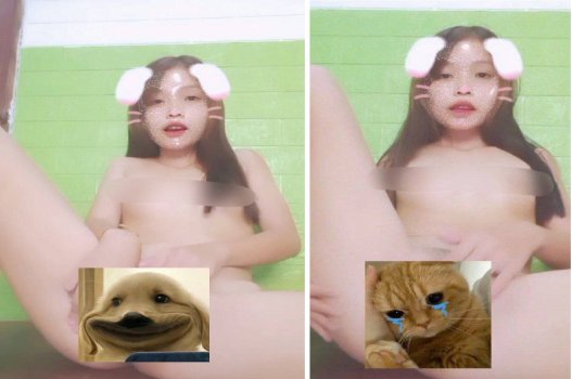 Thỏ bướm nhỏ, gigi chặt chẽ trên TikTok